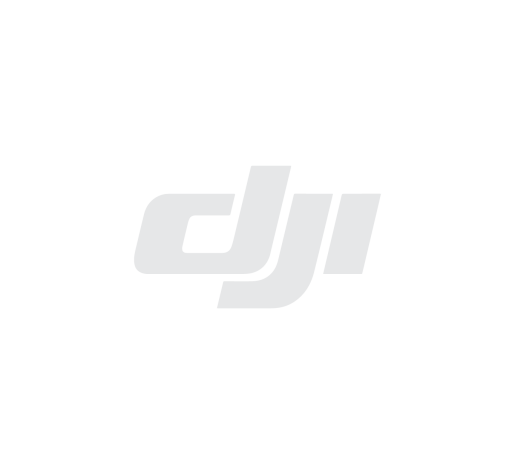 DJI